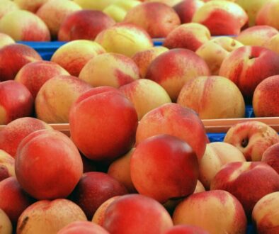 peaches fruit food juicy healthy 3231448