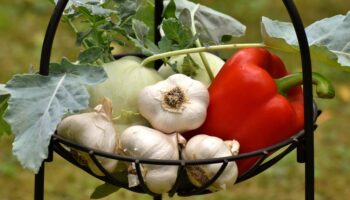 vegetables paprika garlic healthy 3483066